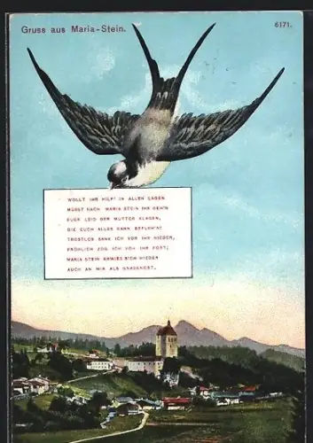 AK Mariastein /Tirol, Ortsansicht mit Schloss, Schwalbe bringt eine Nachricht