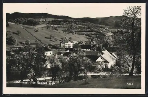 AK Laaben /N. D., Ortspartie mit Strassenpartie