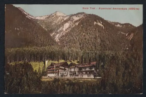 AK Reutte /Tirol, Alpenhotel Ammerwald