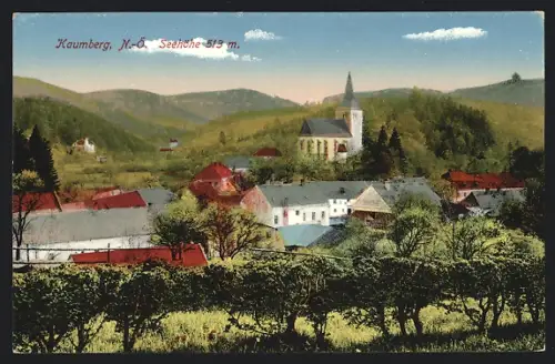 AK Kaumberg /N.-Ö., Totalansicht aus der Vogelschau