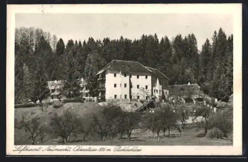 AK Neumarkt /Obersteier, Pichlschloss mit Umgebung