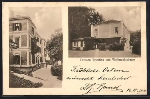 AK Bad Gleichenberg, Pension Triestina und Weihnachtsbaum