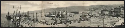 Klapp-AK Trieste, Panorama