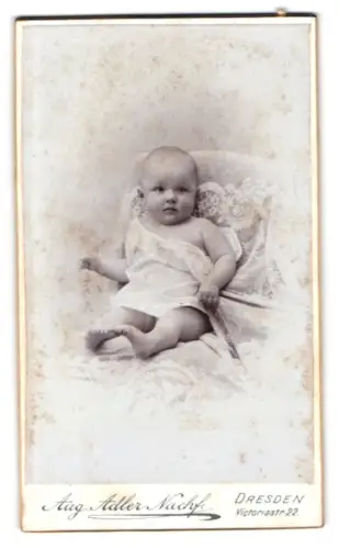 Fotografie Aug. Adler, Dresden, Victoriastr. 22, Porträt eines Kleinkindes