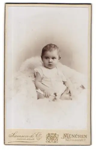 Fotografie Samson & Co., München, Neuhauserstr. 7, Kind auf weichem Fell