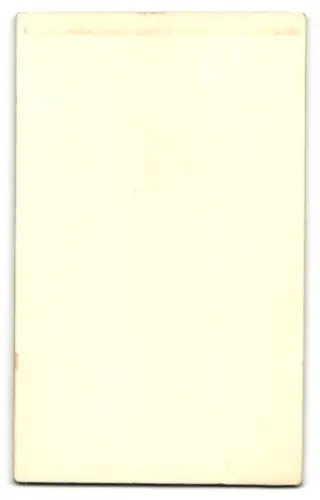 Fotografie Rudolf Schmidt, Calbe, Porträt einer Dame