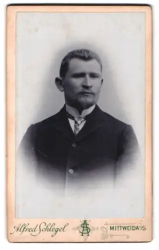 Fotografie Alfred Schlegel, Mittweida i. S., Porträt eines Herrn mit Bart