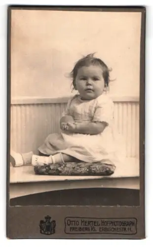 Fotografie Otto Hertel, Freiberg i. S., Erbischestrasse 11, Kleinkind auf gepolstertem Sitz