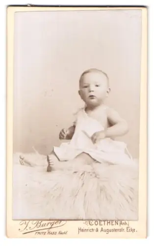 Fotografie J. Burger, Coethen /Anh., Heinrichstrasse, Kleinkind auf Fell sitzend