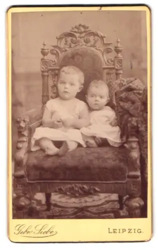 Fotografie Gebr. Siebe, Leipzig, Grimmaischer Steinweg 11, Kinder auf prachtvollem Sessel
