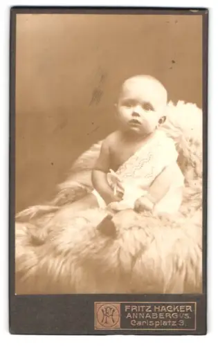 Fotografie Fritz Hacker, Annaberg, Carlsplatz 3, Kleinkind auf Fell drapiert