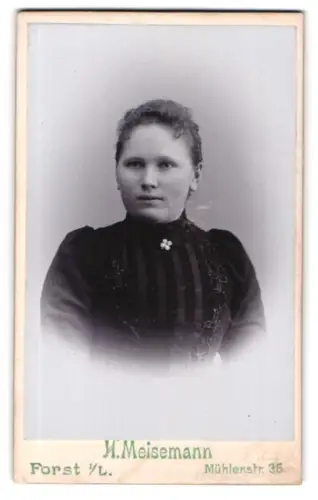 Fotografie H. Meisemann, Forst i. L., Mühlenstrasse 36, Porträt einer Dame