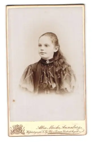 Fotografie Albin Meiche, Annaberg i. S., Zickzackpromenade, Mädchen im karierten Kleid