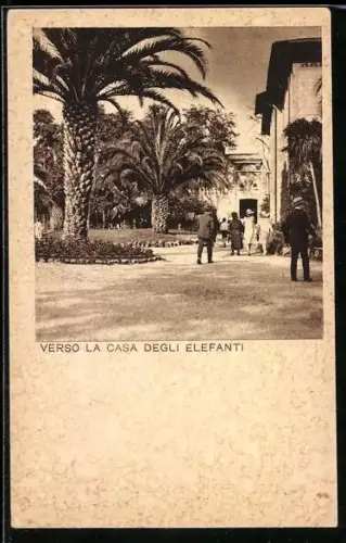 AK Roma, Giardino Zoologico, Verso la casa degli Elefanti
