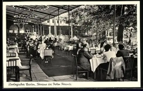 AK Berlin, Terrasse der Roten Veranda im Zoologischen Garten, mit Gästen