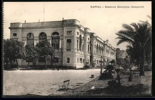 AK Napoli, Stazione Zoologica, Acquario