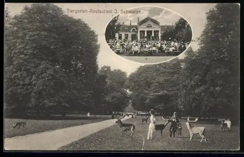 AK Hannover, Tiergarten-Restaurant J. Schwarze, Streichelzoo mit Besuchern