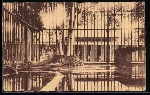 AK Saigon, Jardin Botanioue, La grande Cage auy Tigres