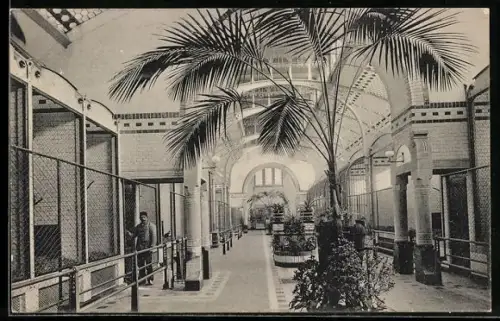 AK Rotterdam, Diergaarde, Apenhuis van binnen