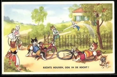 AK Katzenschülen haben mit ihren Fahrrädern einen Unfall, vermenschlichte Tiere