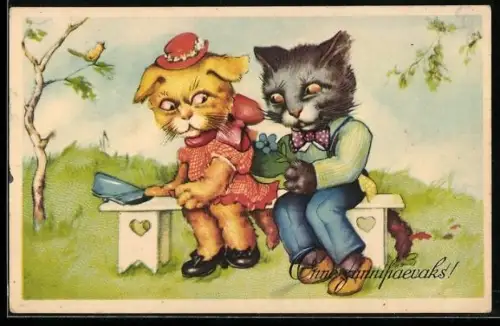 AK Katzenpaar an einer Bank, vermenschlichte Tiere