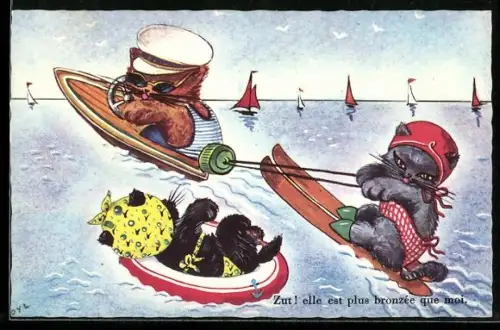 AK Katzenkinder beim Wasserski, Katzenmädchen mit Schwimmring