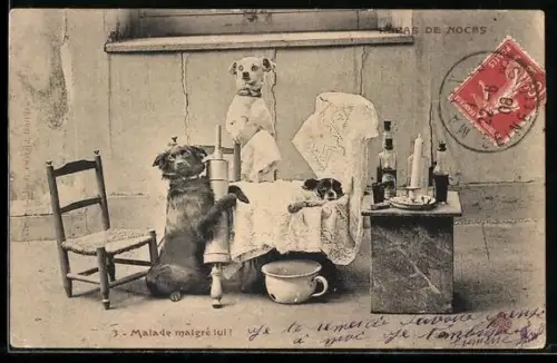 AK Hunde bei Hundebaby an der Wiege, vermenschlichte Tiere