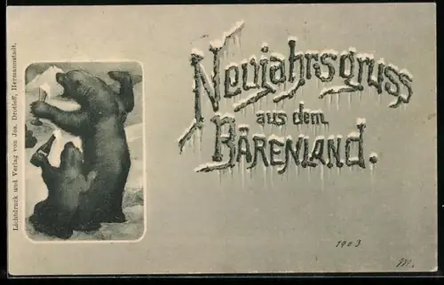 AK Bären trinken Sekt, Neujahrsgruss, vermenschlichte Tiere
