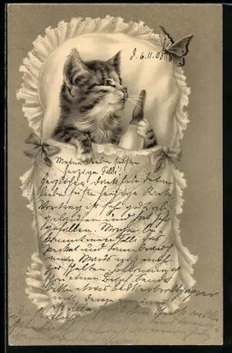 AK Katze mit Nuckelflasche im Babybettchen