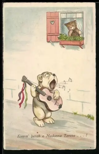 AK Bonzo mit Gitarre singt der Katze am Fenster ein Lied, Komm herab o Madonna Teresa
