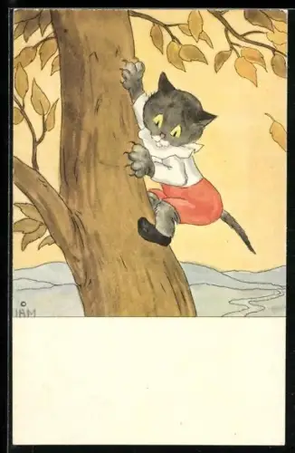 AK Kater klettert auf einen Baum, vermenschlichte Tiere