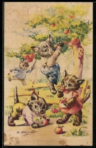 AK Katzenkinder pflücken Äpfel, vermenschlichte Tiere