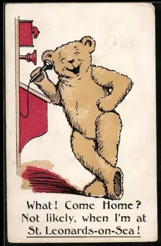 AK Teddy telefoniert lächelnd mit jemandem