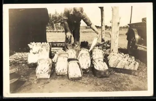 Foto-AK Spargelhändler mit seinen Waren