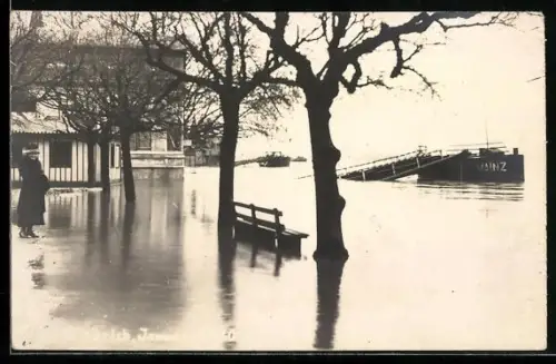 Foto-AK Biebrich / Rhein, Hochwasser im Ort, Schiff Mainz am Anleger