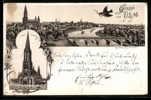 Vorläufer-Lithographie Ulm / Donau, 1895, Ulmer Münster, Panoramaansicht mit Vogel