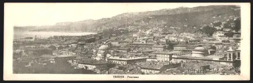 Klapp-AK Trieste, Panorama