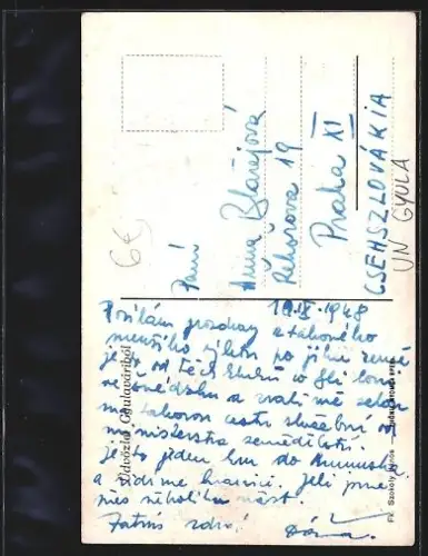 Mini-AK Gyula, Panorama