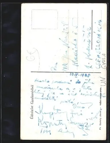 Mini-AK Gyula, Panorama