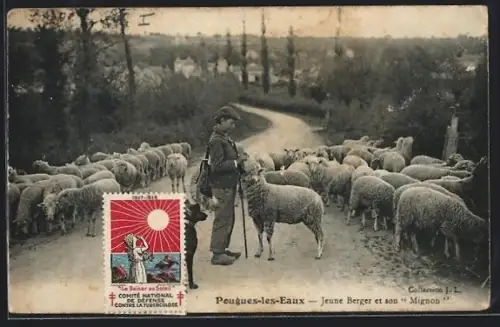 AK Pougues-les-Eaux, Jeune Berger et son Mignon avec troupeau de moutons sur la route