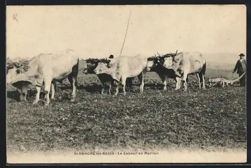 AK St-Honoré-les-Bains, Le Labour en Morvan