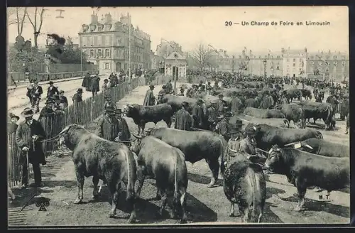 AK Limoges, Un Champ de Foire en Limousin