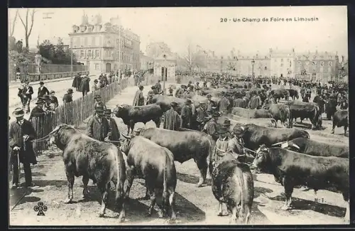 AK Limoges, Un champ de foire en Limousin avec des bovins et des marchands