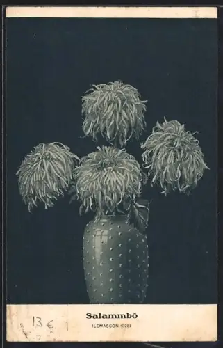 AK Limoges, Jacques Lemasson, Horticulteur, Salammbô