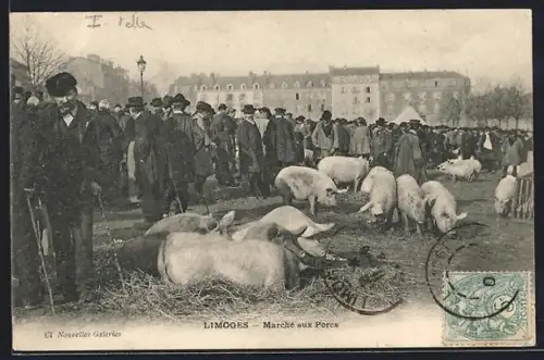 AK Limoges, Marché aux Porcs