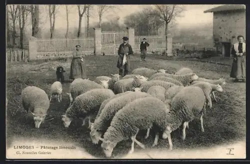 AK Limoges, Patourage limousin