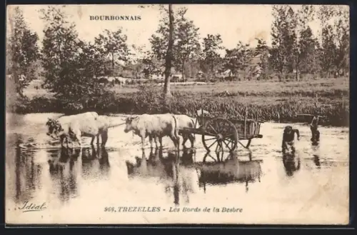 AK Trézelles, Les Bords de la Besbre avec boeufs et charrette traversant la rivière