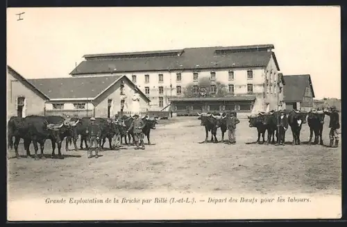 AK Briche /Rillé, Départ des boeufs pour les labours sur la grande exploitation