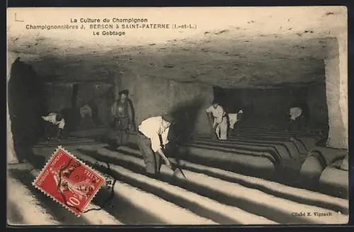 AK Saint-Paterne /I.-et-L.., Le Gobetage dans la culture du champignon, Champignonnières J. Berson