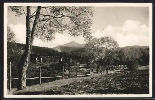 AK Zemir /Podk. Rus., Zelezny most v Zemiru